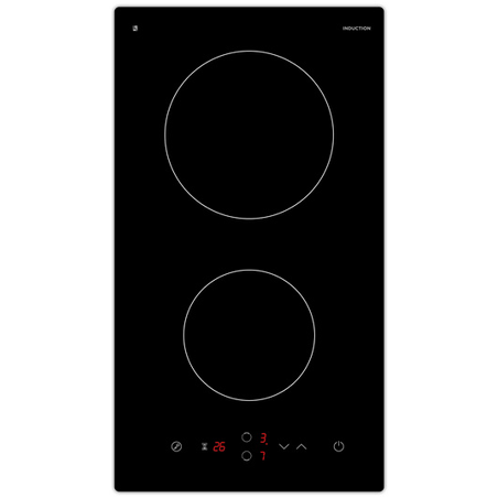 Plaque induction PROLINE IH 235 T 2 FEUX