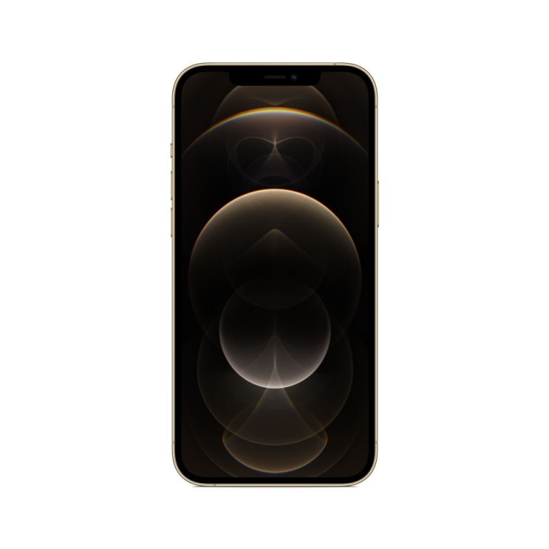 iPhone 12 Pro Max 6,7" 128 Go Double SIM 5G Or